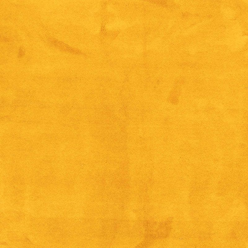 Gabbeh-tæppe - Indus - 389 x 300 cm - guld