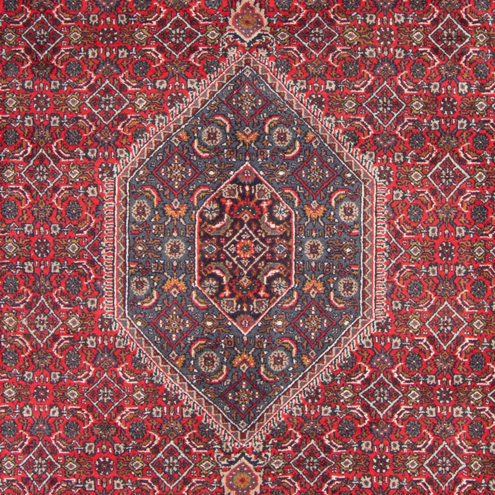 Orientalsk tæppe - Bijar - Indus - 338 x 251 cm - rød