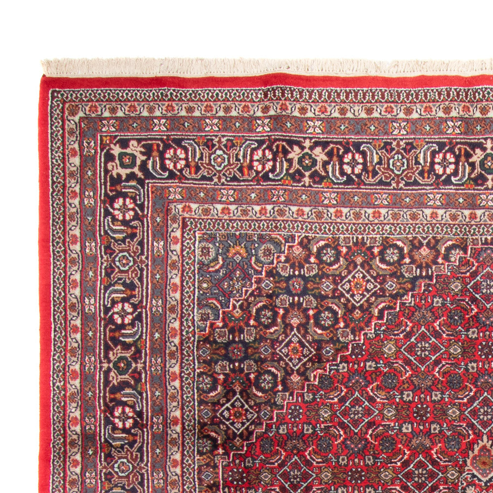 Orientalsk tæppe - Bijar - Indus - 338 x 251 cm - rød