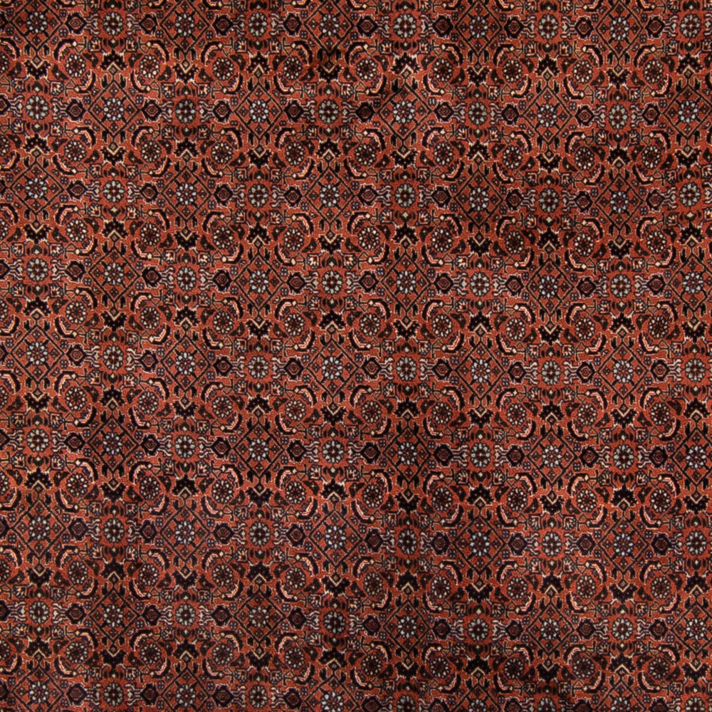 Persisk tæppe - Bijar - Royal - 296 x 210 cm - brun