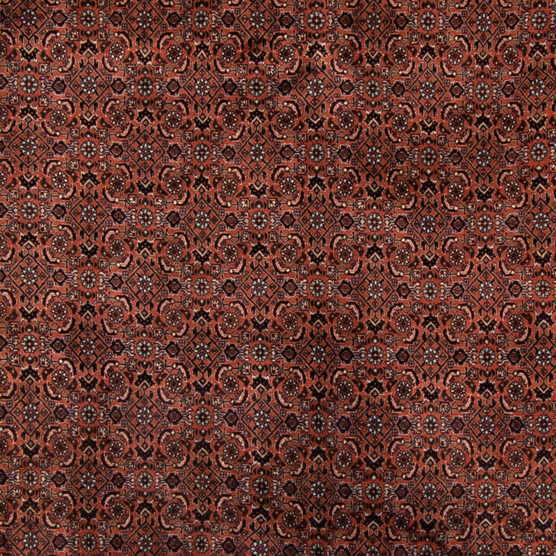 Persisk tæppe - Bijar - Royal - 296 x 210 cm - brun
