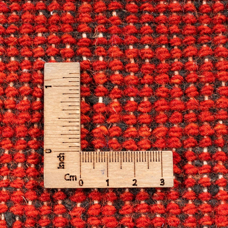 Gabbeh-tæppe - Indus - Royal - 402 x 316 cm - grøn