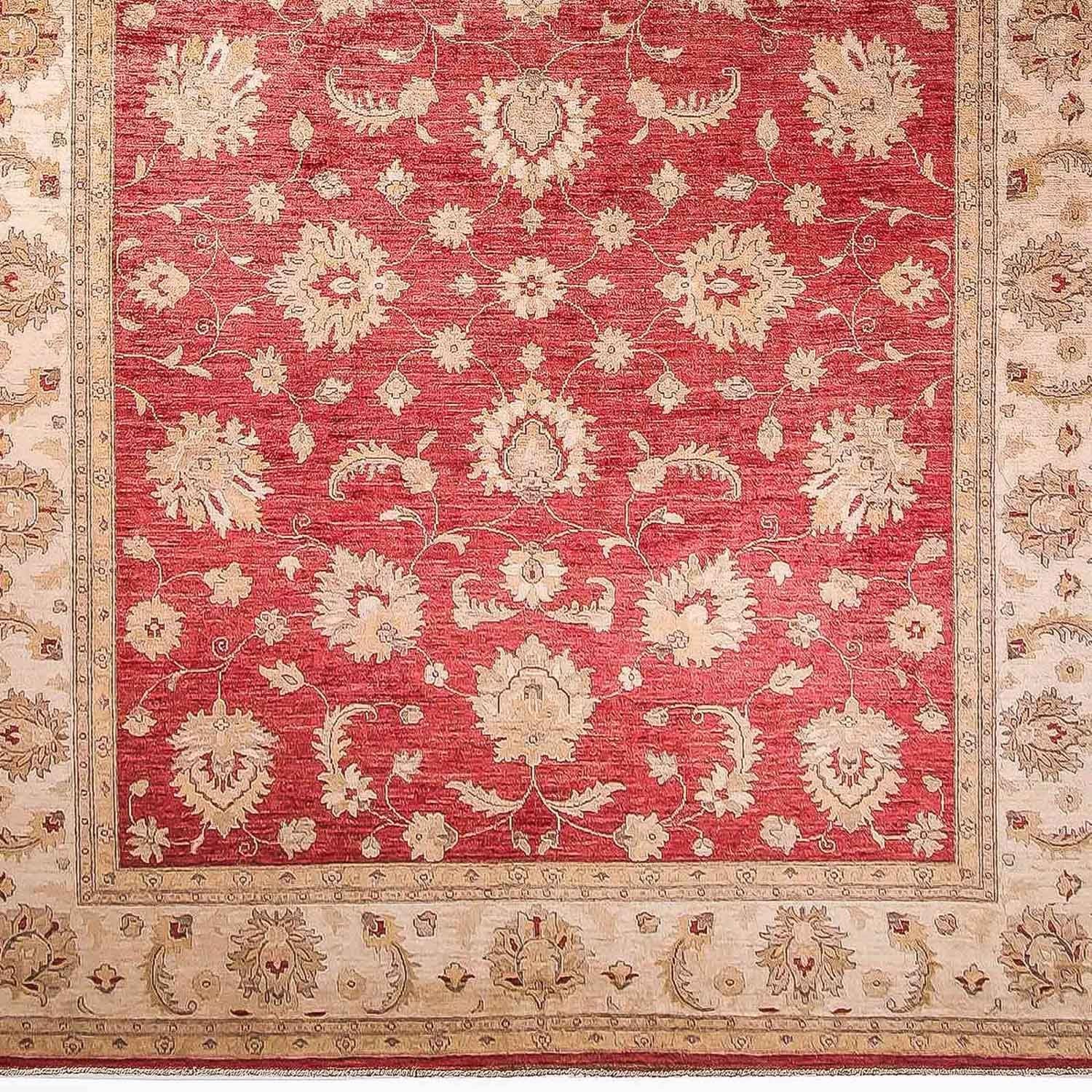 Ziegler Carpet - 353 x 277 cm - rød