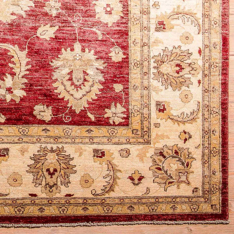 Ziegler Carpet - 353 x 277 cm - rød