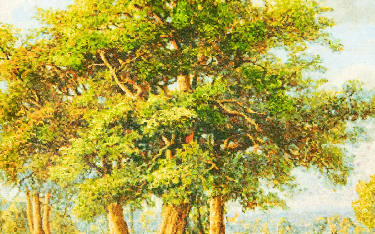 Billede tæppe - 116 x 84 cm - flerfarvet