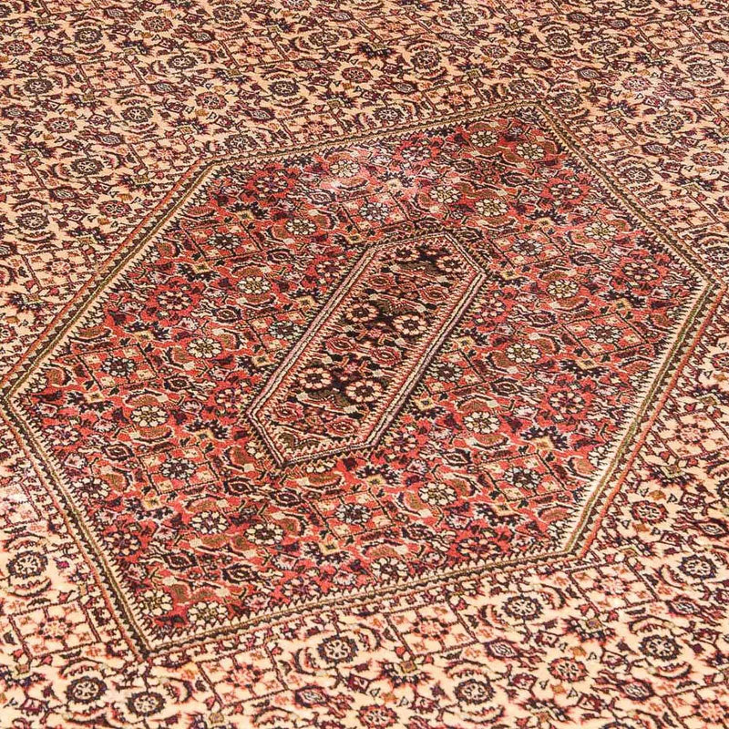 Persisk tæppe - Bijar - 290 x 177 cm - orange