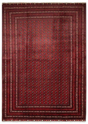 Afghansk tæppe - Bukhara - 301 x 197 cm - rød