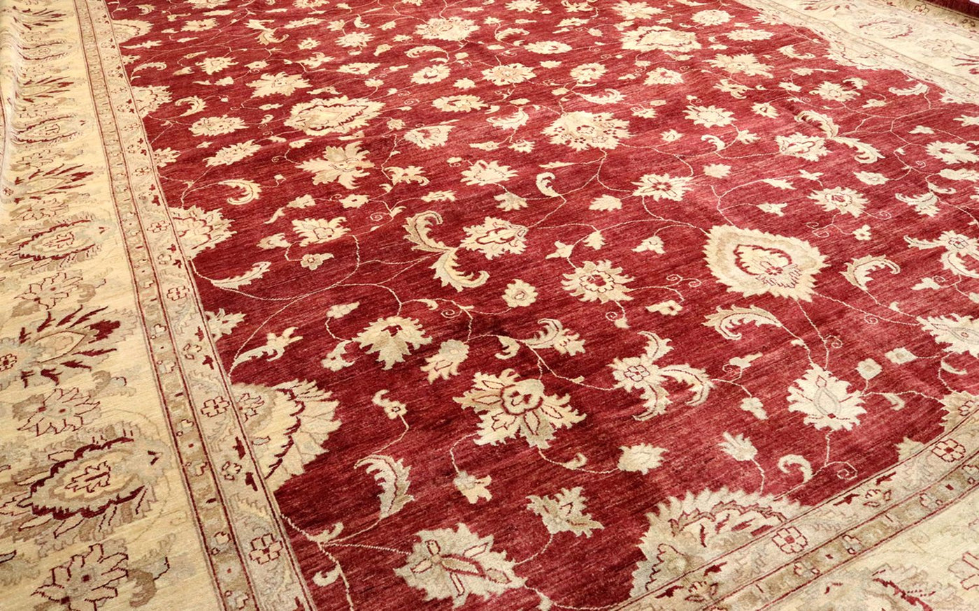 Ziegler Carpet 567x421cm - Orientalsk tæppe