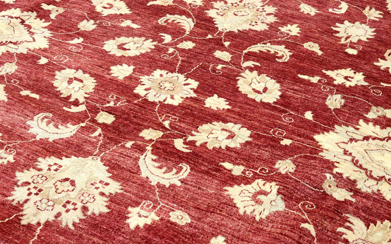 Ziegler Carpet - 567 x 421 cm - rød