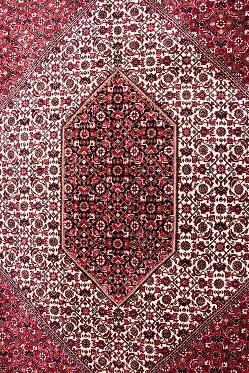 Persisk tæppe - Bijar - Royal - 310 x 250 cm - beige