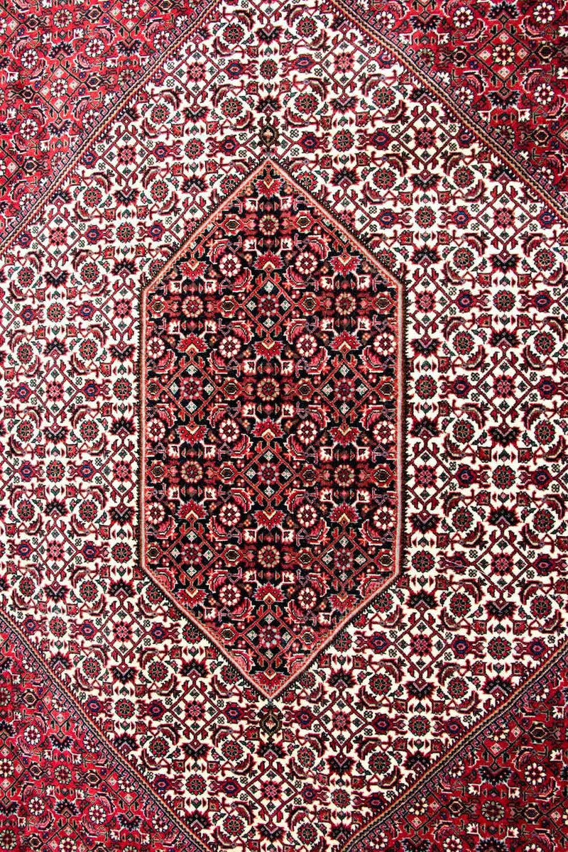 Persisk tæppe - Bijar - Royal - 310 x 250 cm - beige