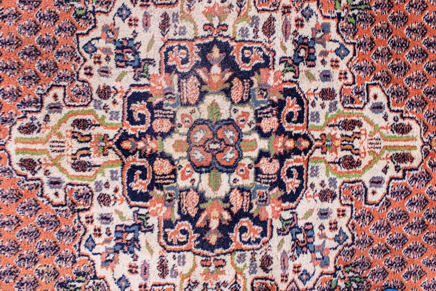 Orientalsk tæppe - 242 x 170 cm - orange