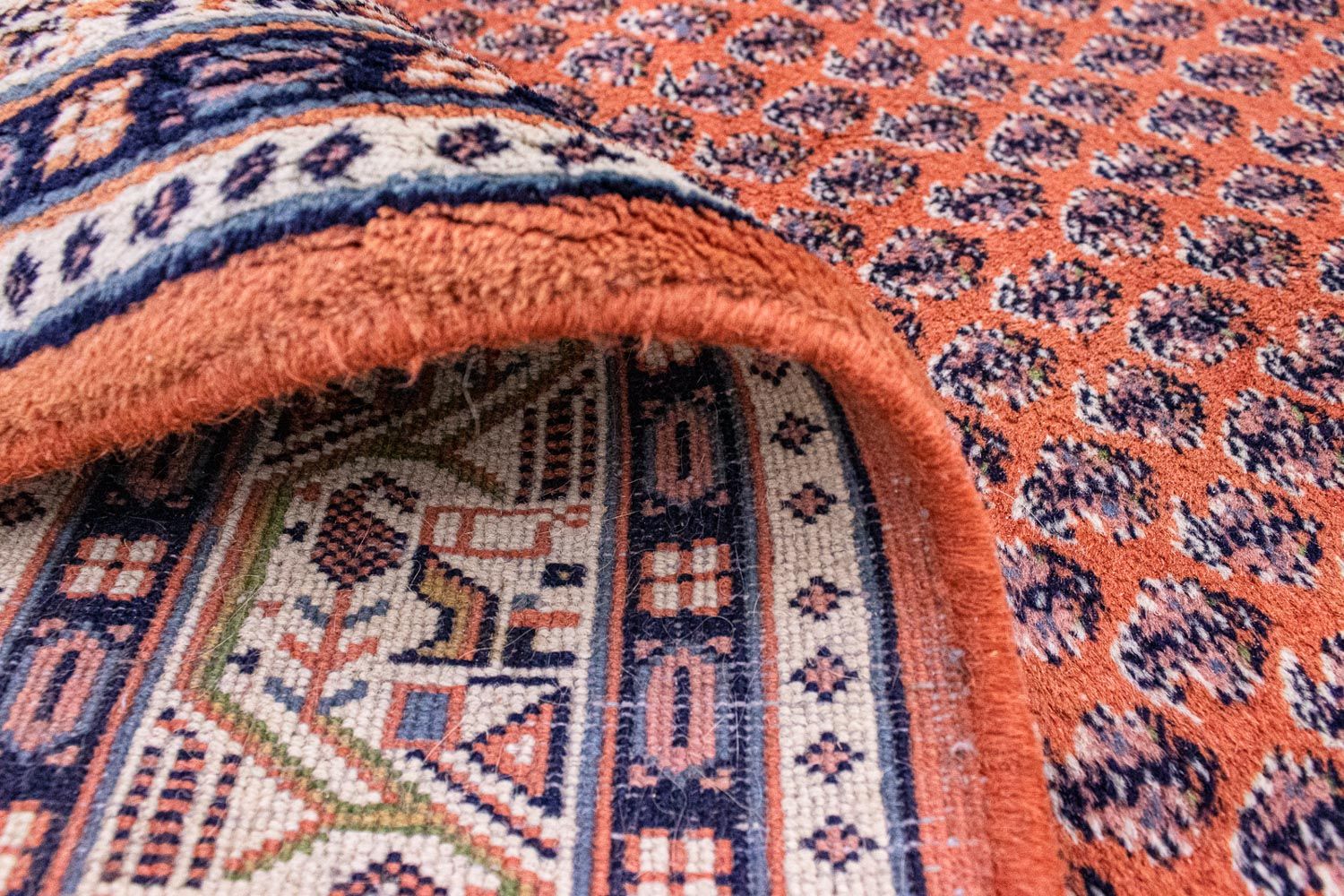 Orientalsk tæppe - 242 x 170 cm - orange