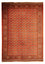 Turkaman-tæppe - 333 x 260 cm - mørkerød