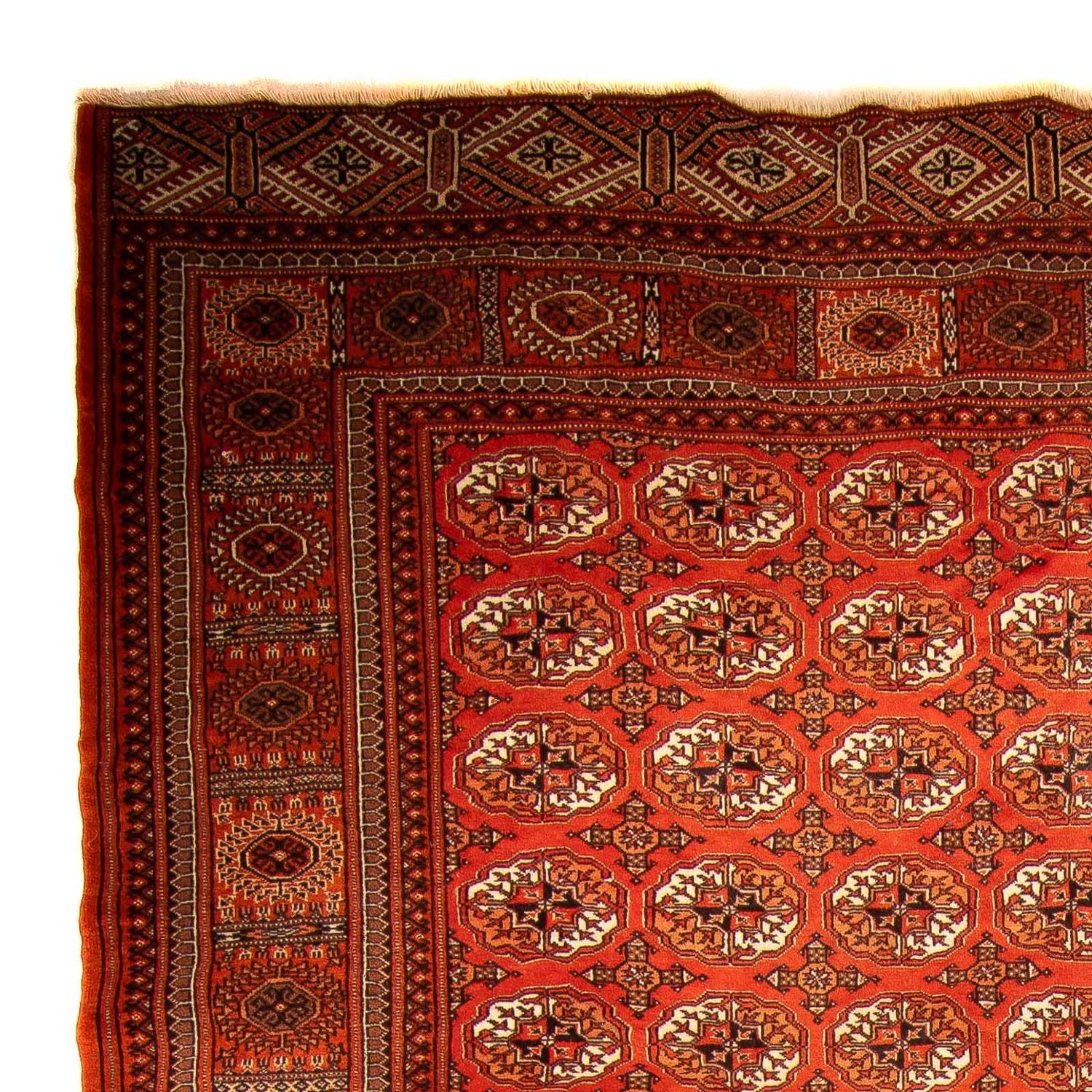 Turkaman-tæppe - 333 x 260 cm - mørkerød