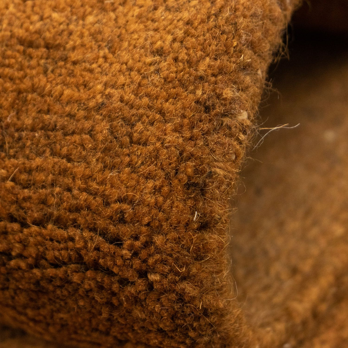 Nepal Tæppe - 340 x 248 cm - brun