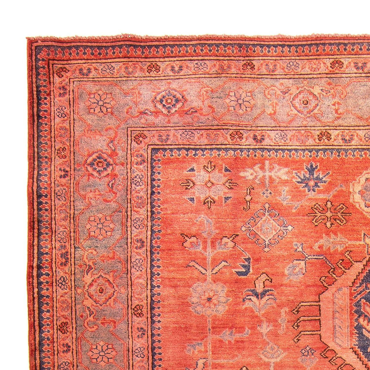 Ziegler Carpet - Kazak - 244 x 183 cm - lysrød