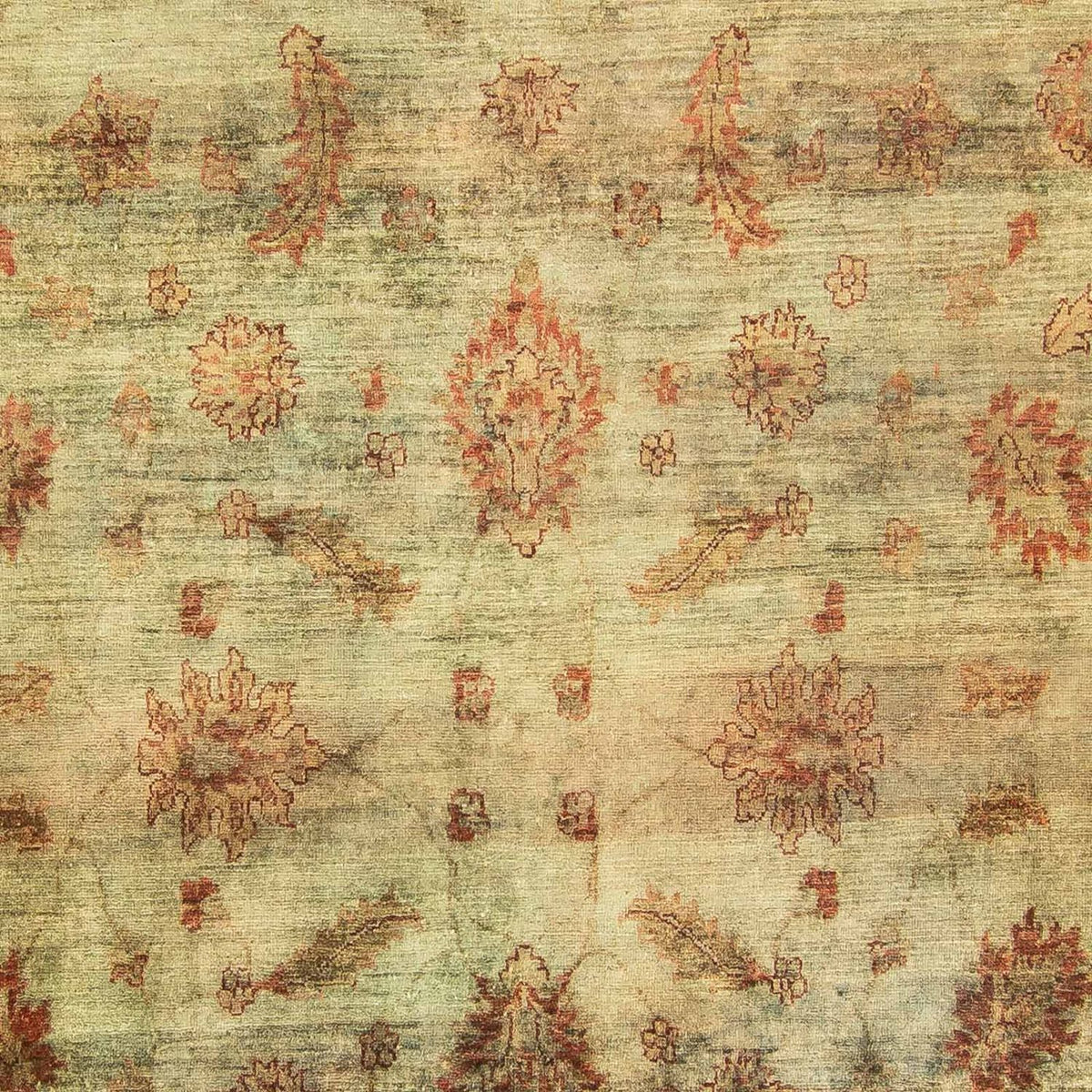 Ziegler Carpet - 283 x 215 cm - grøn