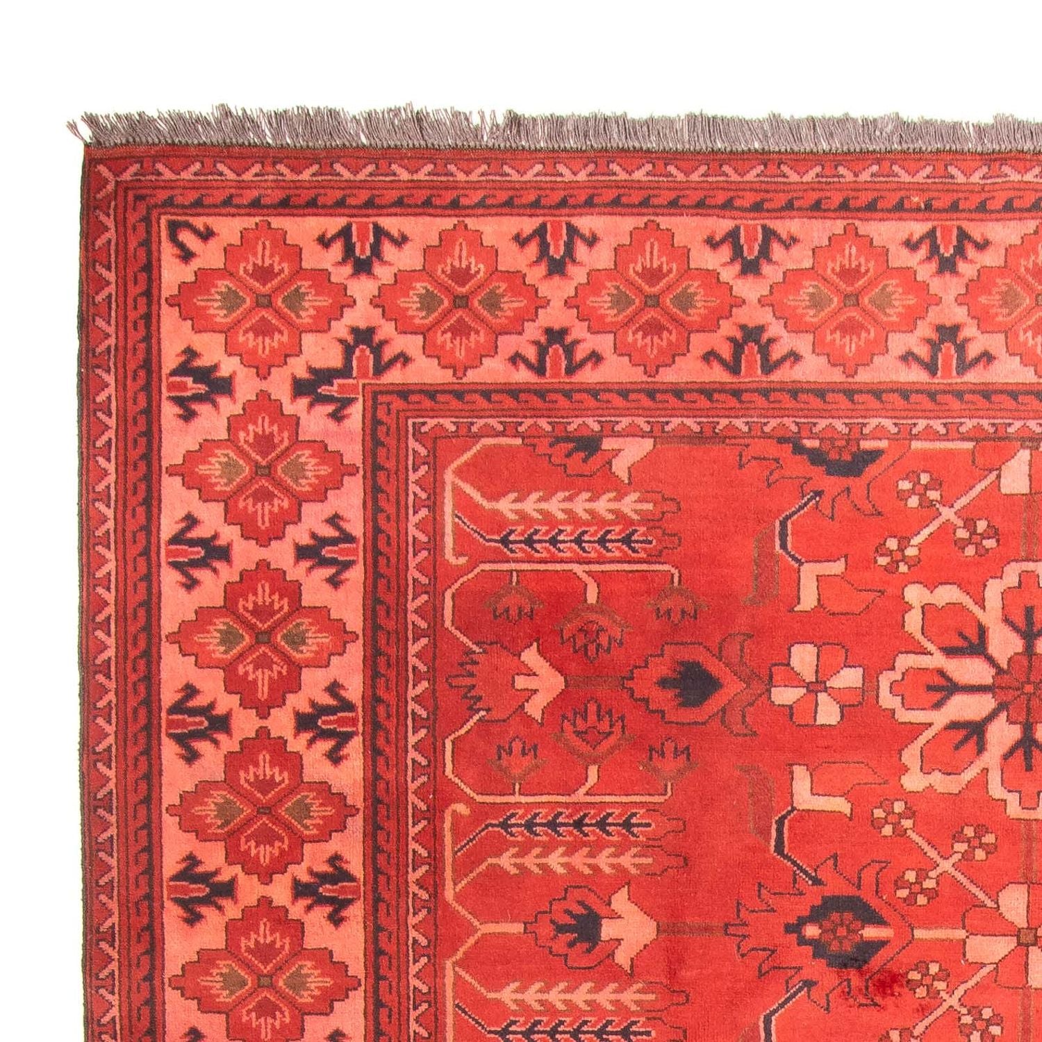 Afghansk tæppe - Hatshlu - 296 x 210 cm - mørkerød