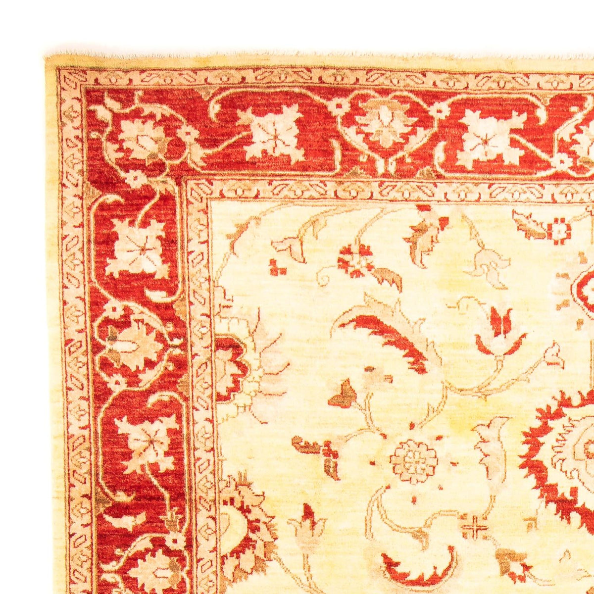 Ziegler Carpet 207x286cm - Orientalsk tæppe