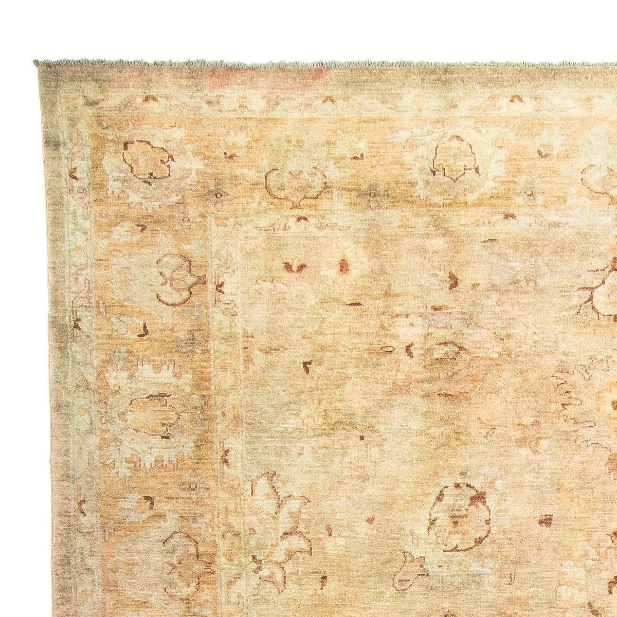 Ziegler Carpet - 287 x 240 cm - flerfarvet
