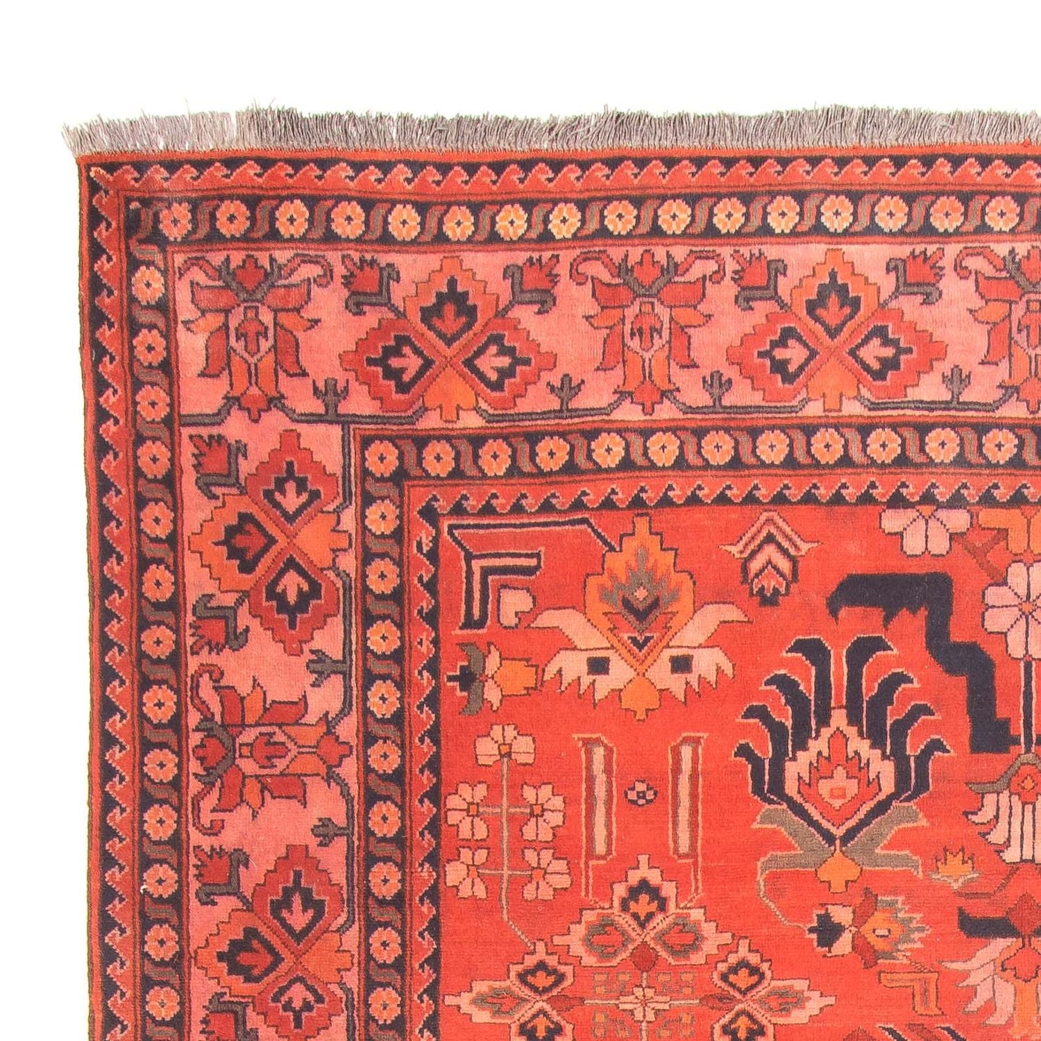 Afghansk tæppe - Hatshlu - 280 x 200 cm - lysrød