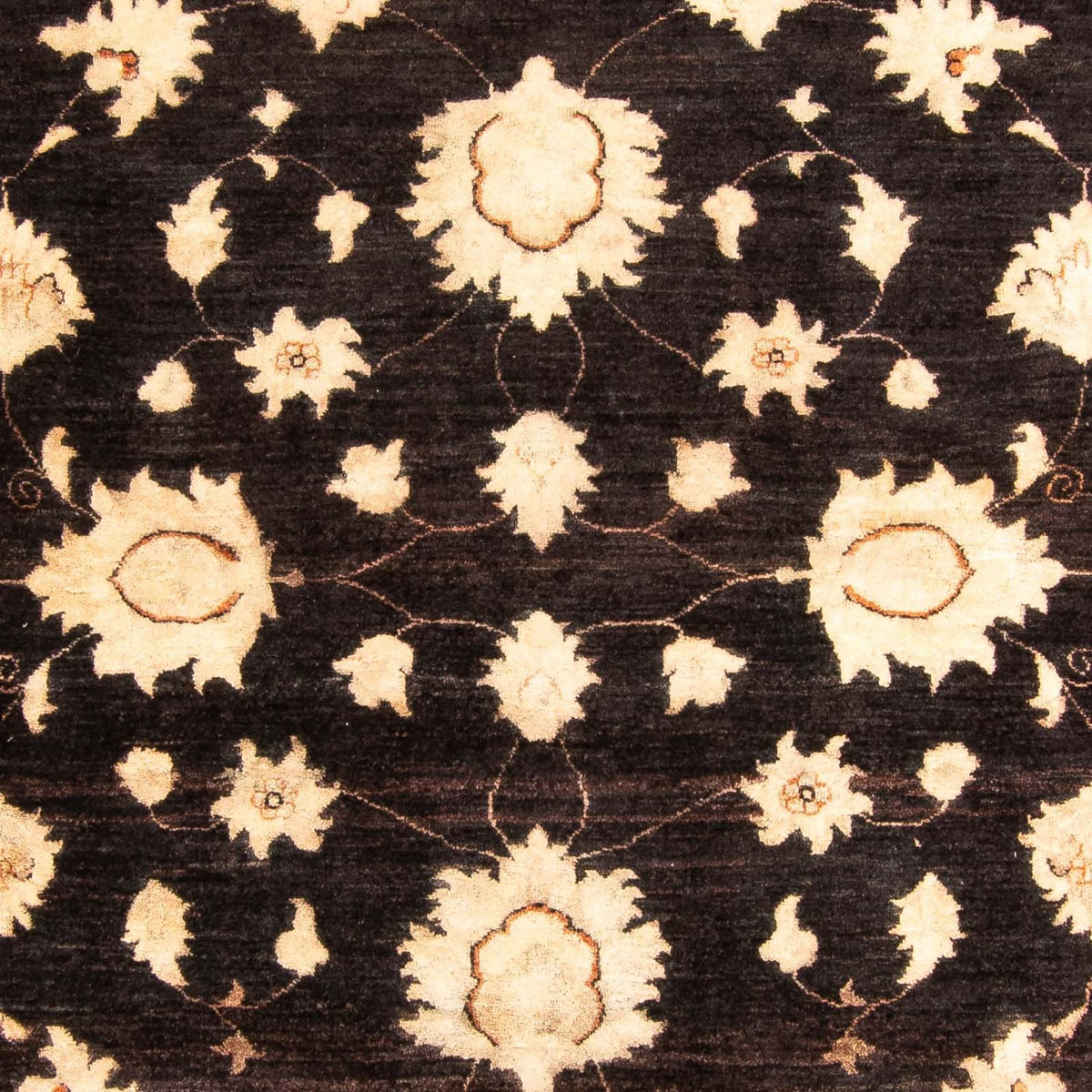 Ziegler Carpet - 277 x 205 cm - mørkebrun