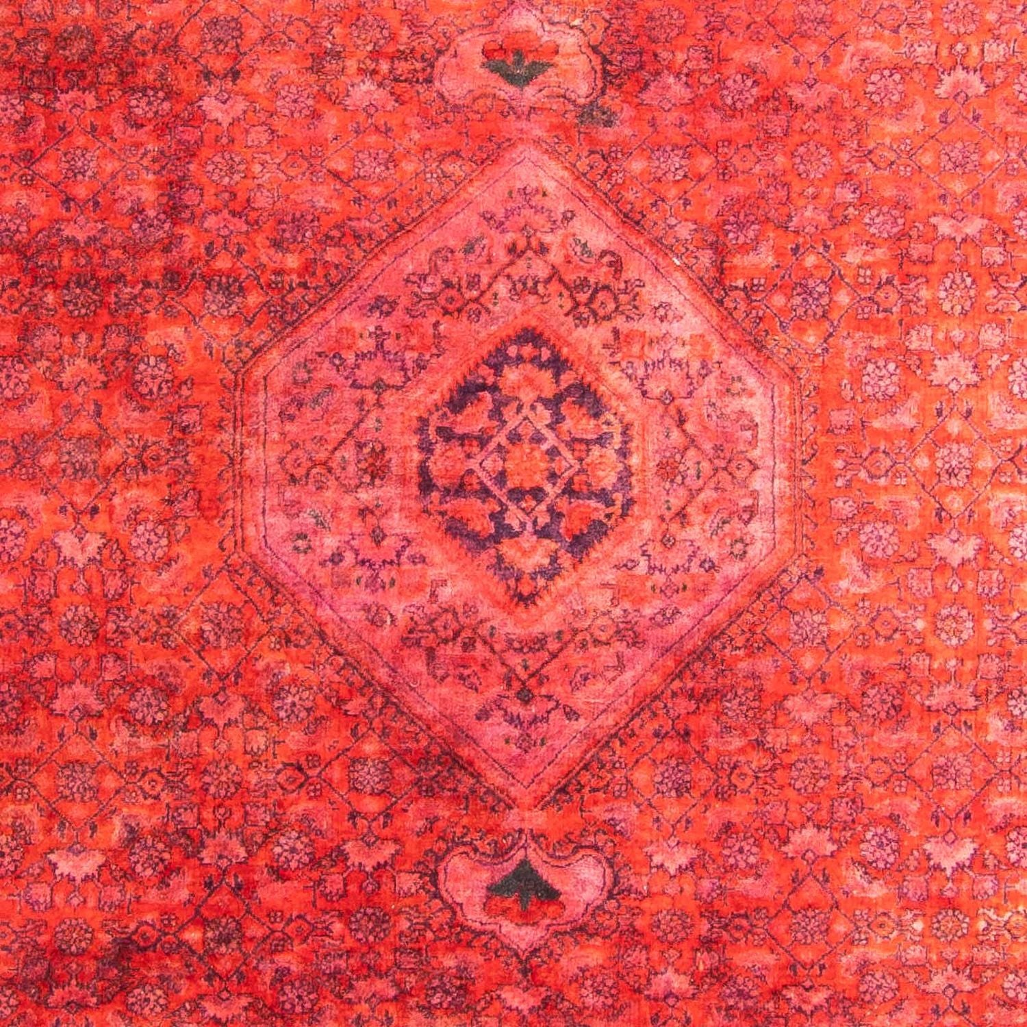 Persisk tæppe - Bijar - Royal - 280 x 205 cm - lysrød