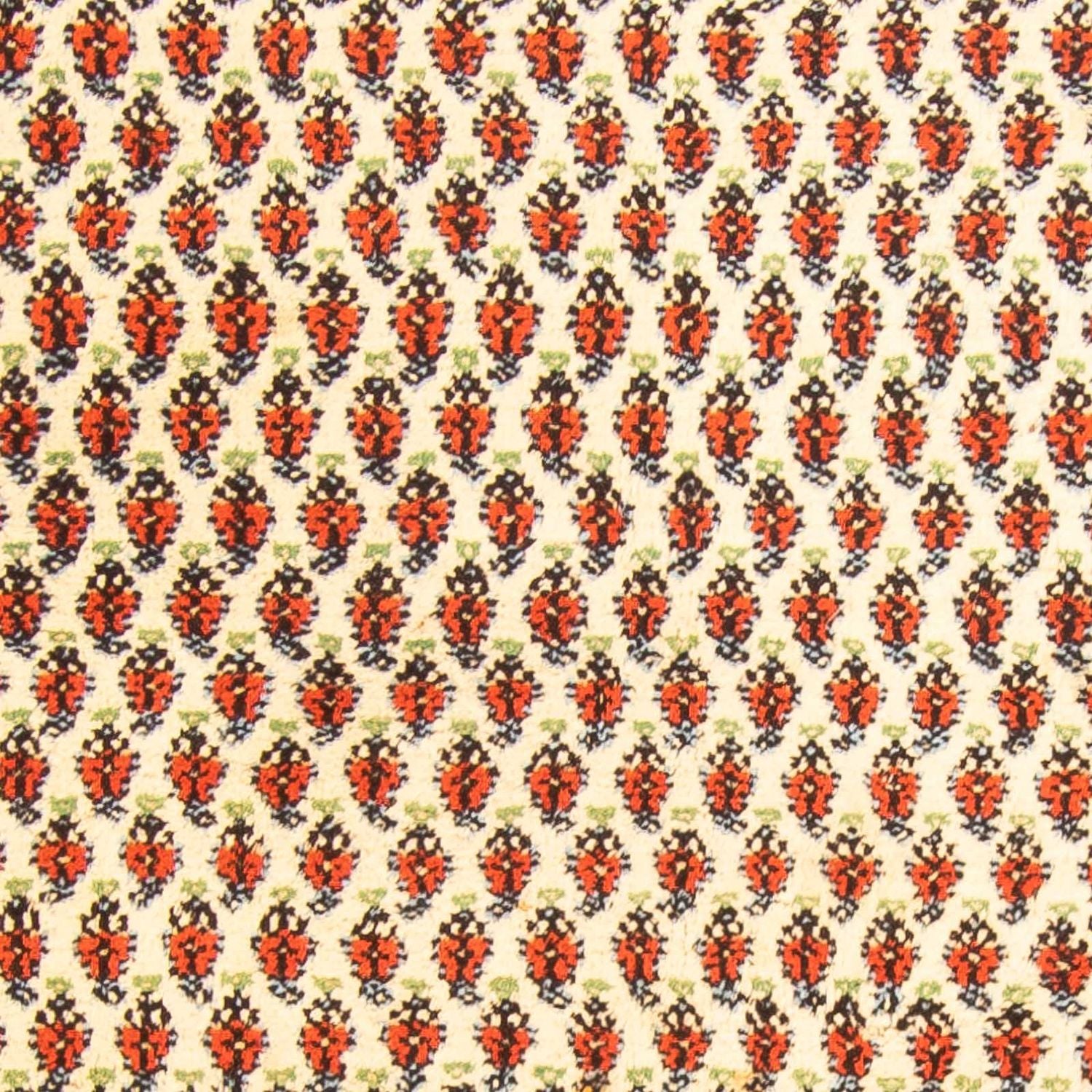 Orientalsk tæppe - Mir - Indus - 238 x 174 cm - beige
