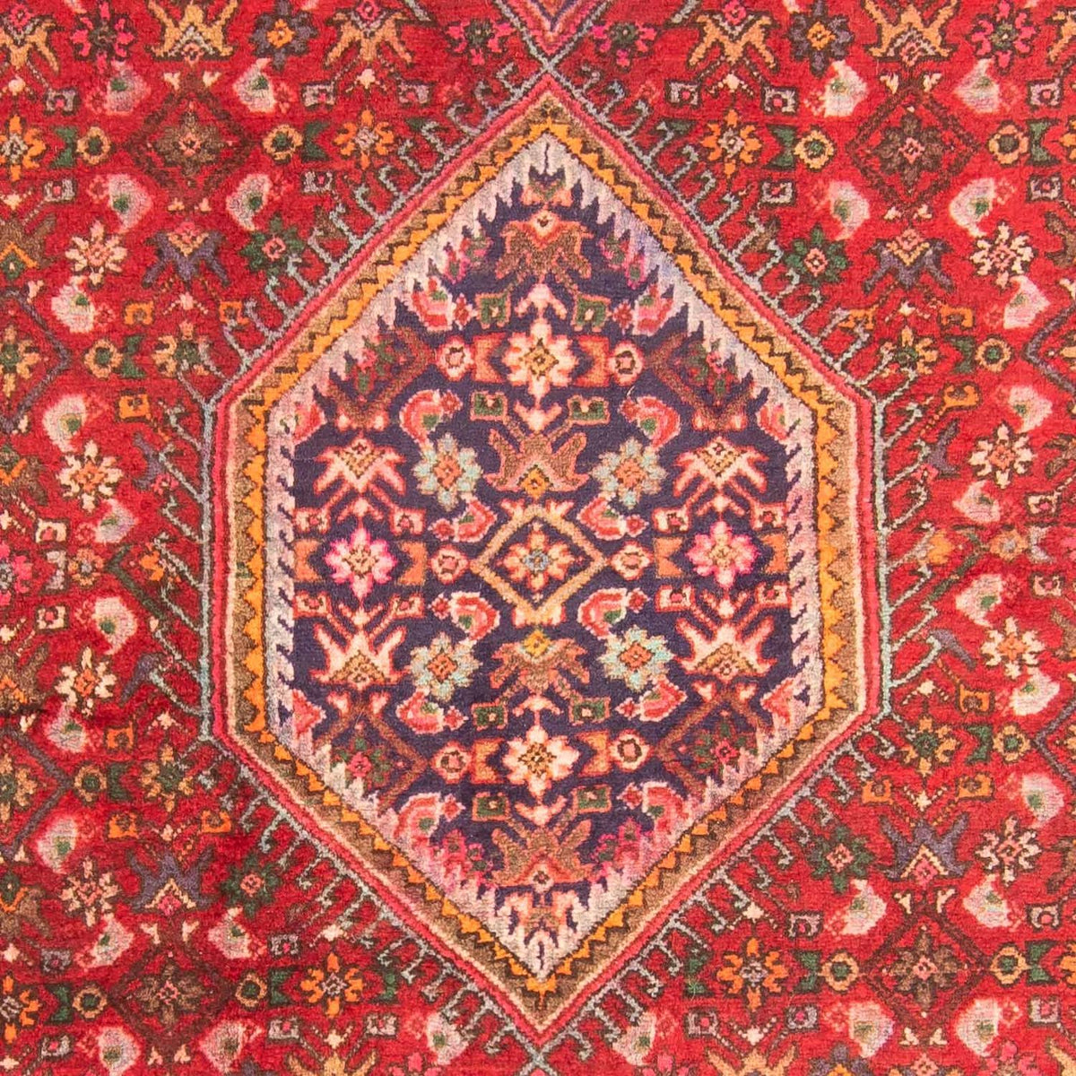 Løber Persisk tæppe - Bijar - Royal - 222 x 128 cm - lysrød