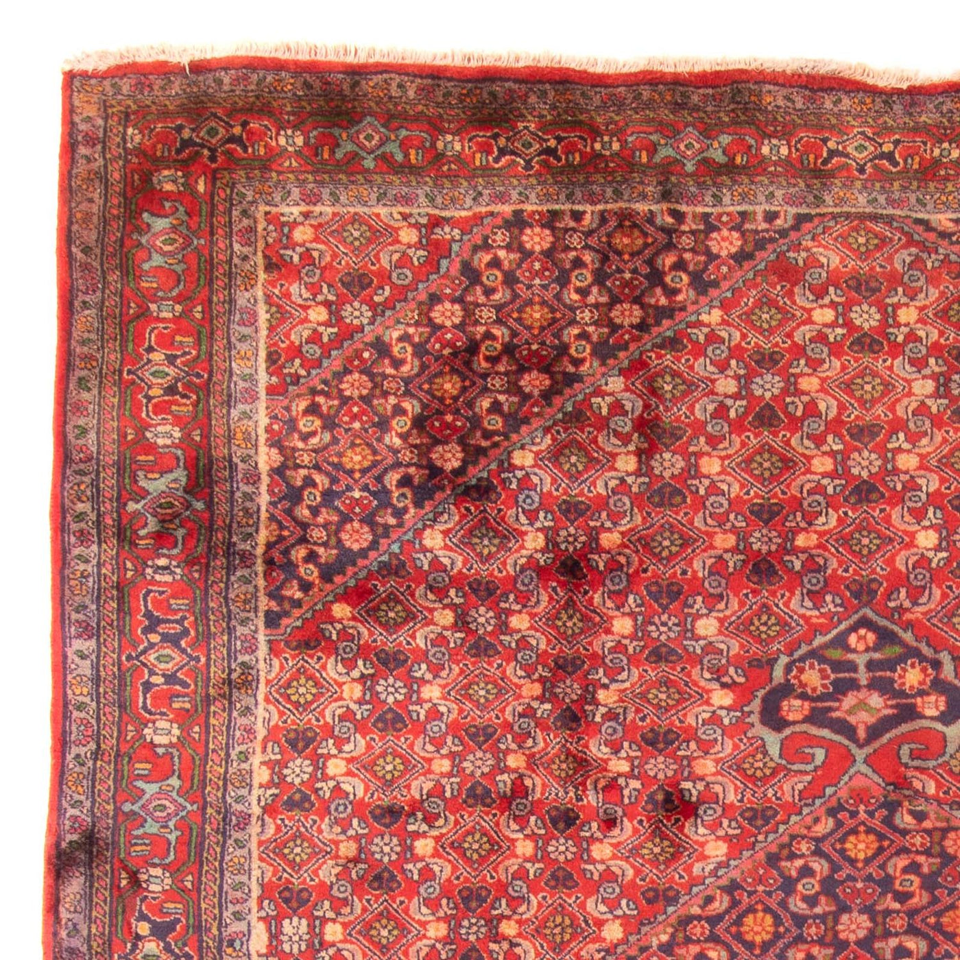 Ardabil Tæppe 290x203cm - Persisk tæppe