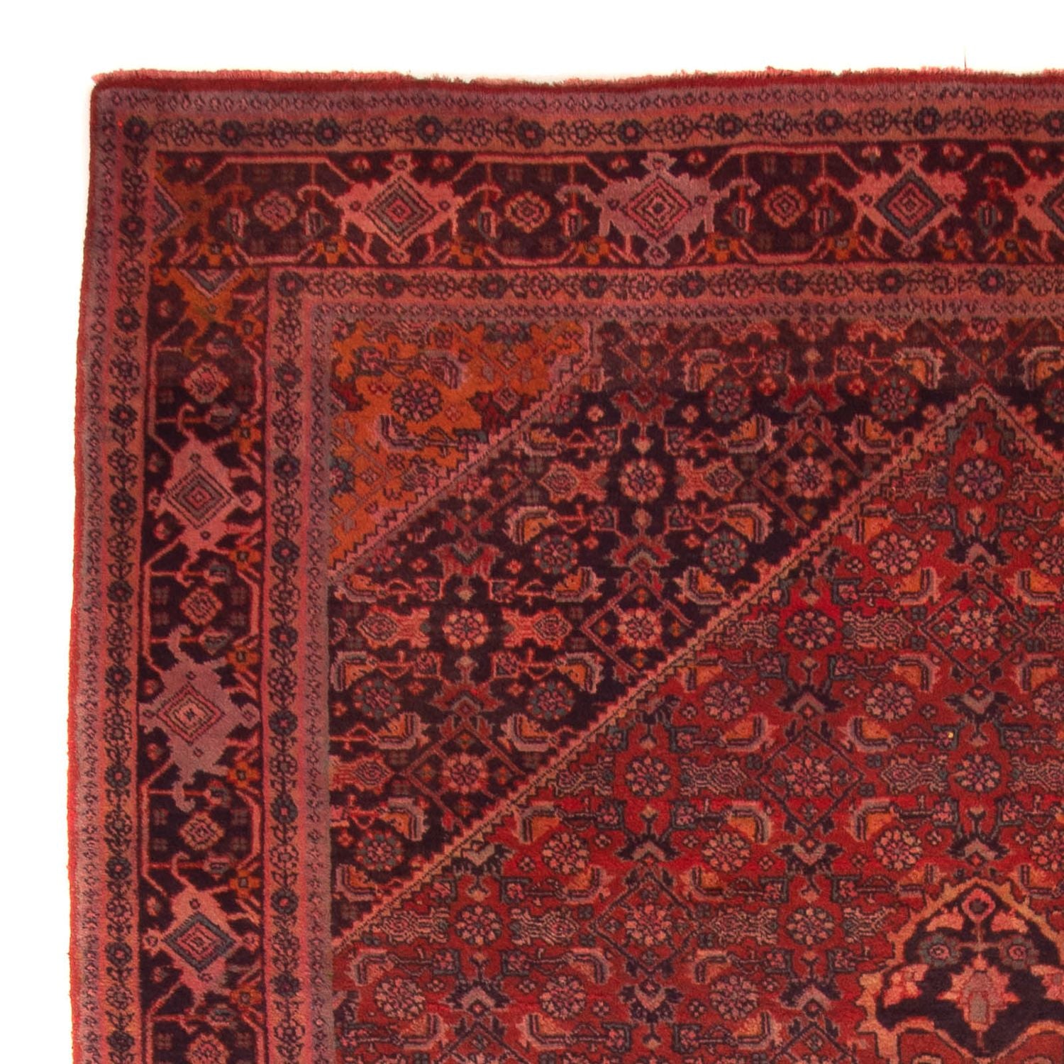 Persisk tæppe - Bijar - Royal - 327 x 220 cm - mørkerød