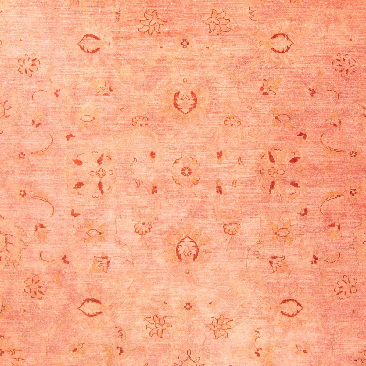 Ziegler Carpet - 300 x 242 cm - lysrød