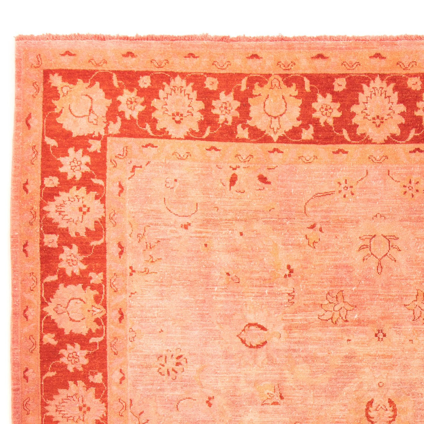 Ziegler Carpet 300x242cm - Orientalsk tæppe