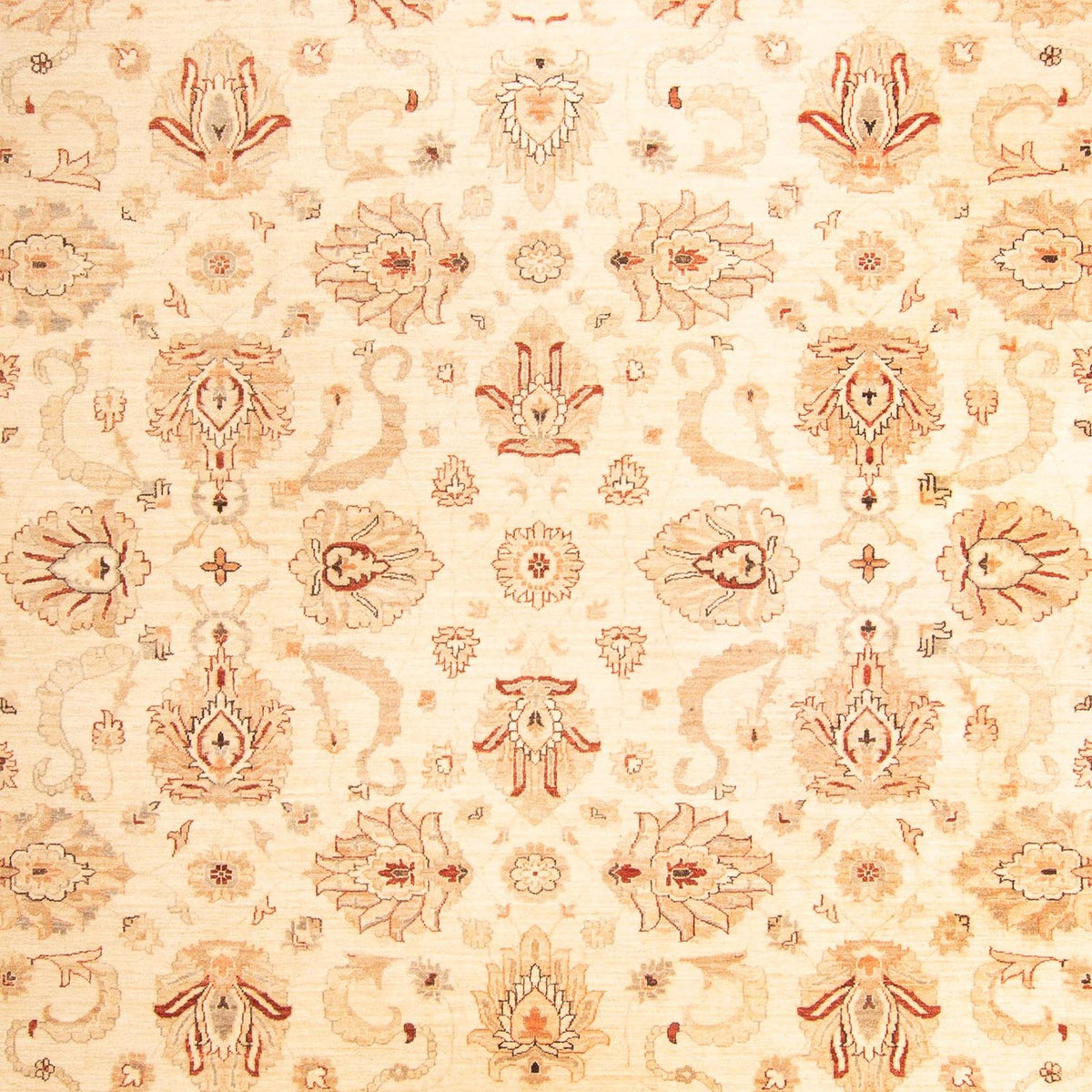 Ziegler Carpet - 397 x 299 cm - beige