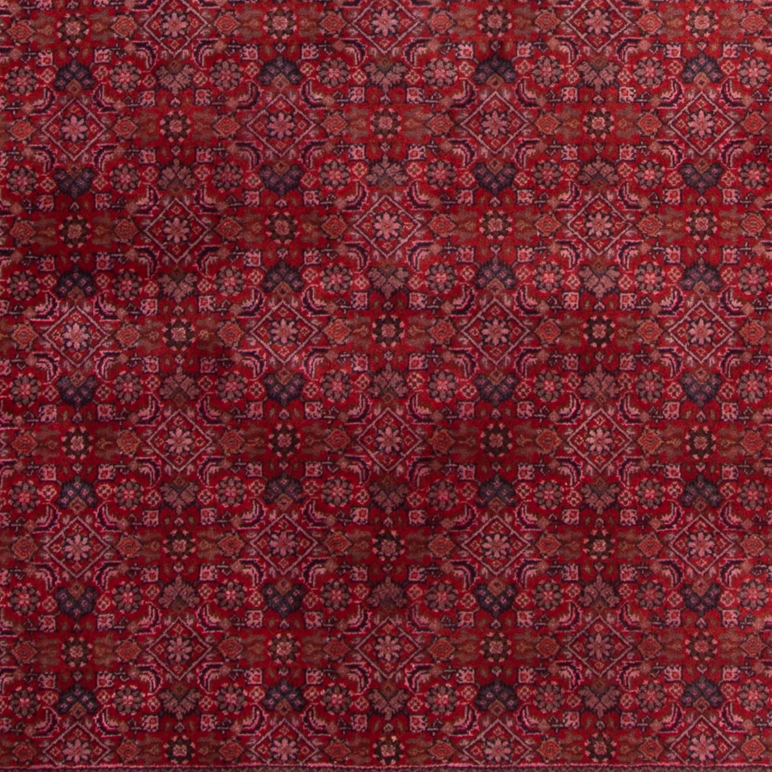 Orientalsk tæppe - Bijar - Indus - 300 x 200 cm - rød