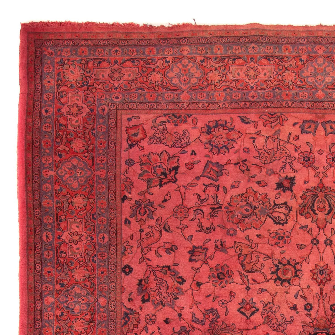 Sarouk Tæppe 349x244cm - Persisk tæppe