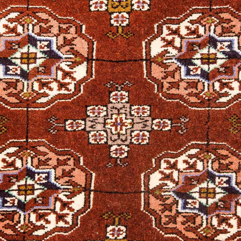 Turkaman-tæppe - 154 x 103 cm - brun