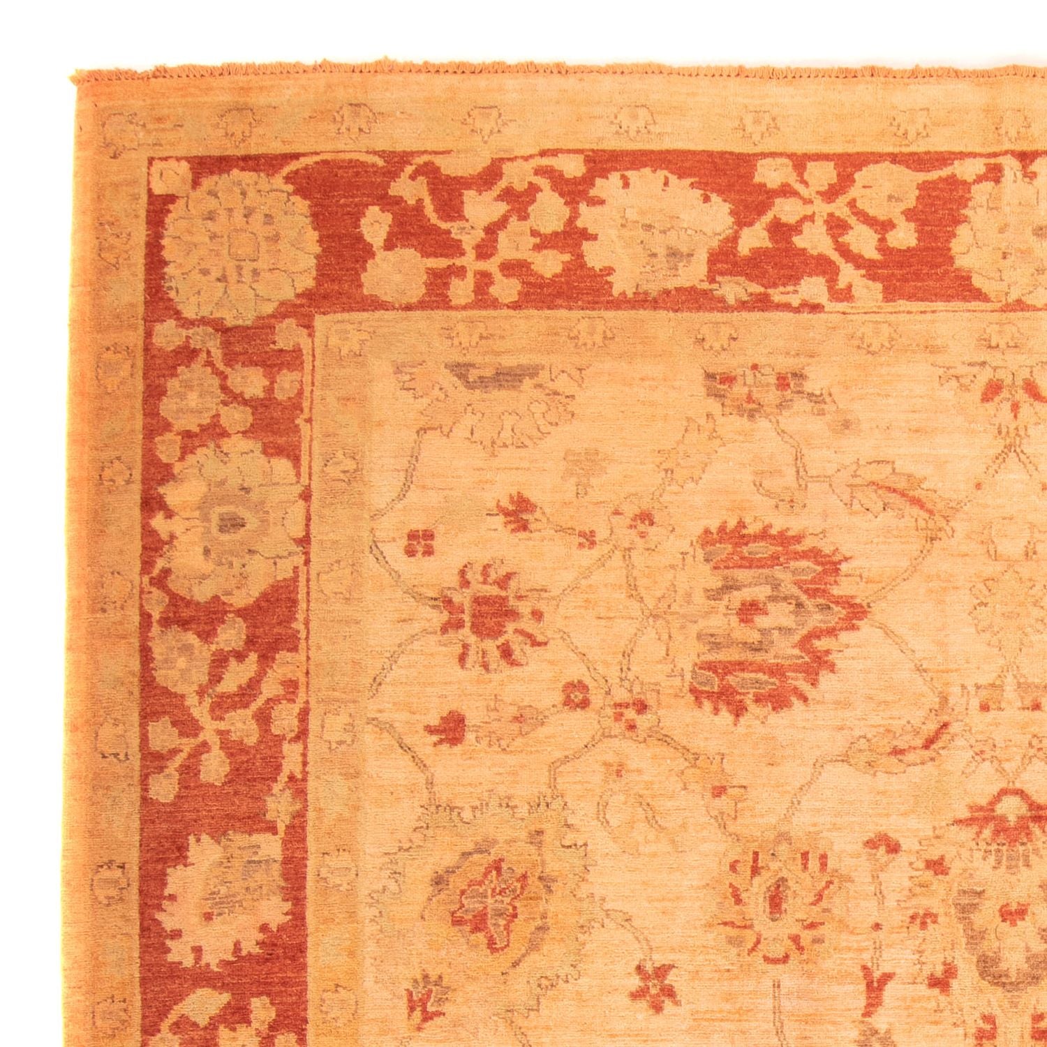 Ziegler Carpet - 300 x 200 cm - orange