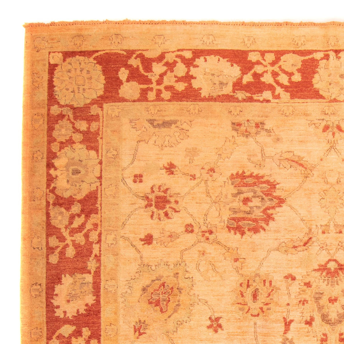 Ziegler Carpet 300x200cm - Orientalsk tæppe