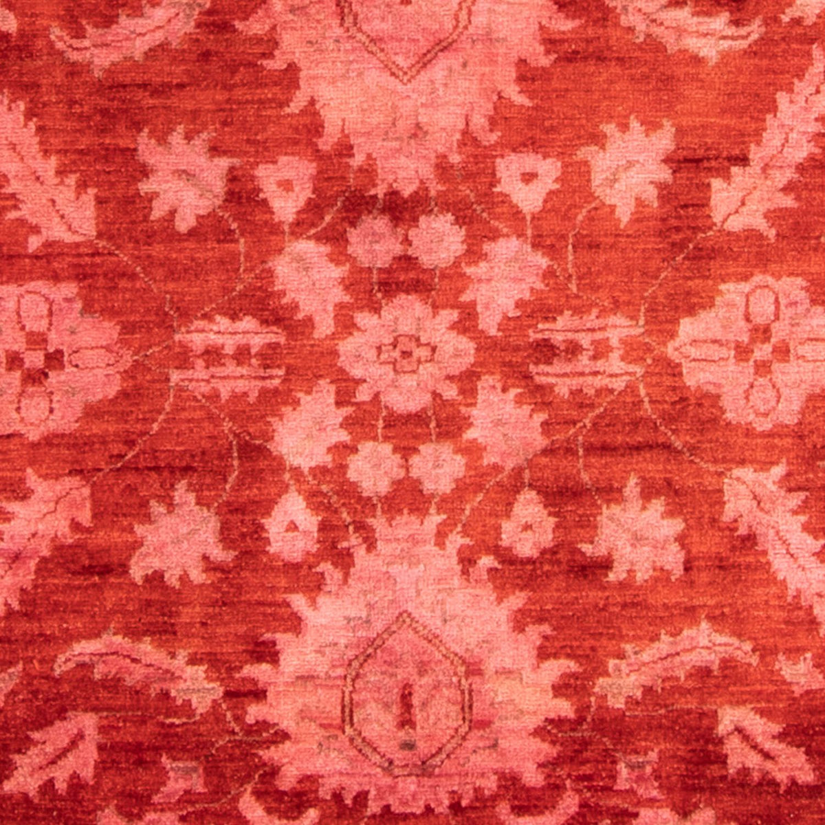 Ziegler Carpet - 330 x 240 cm - lysrød