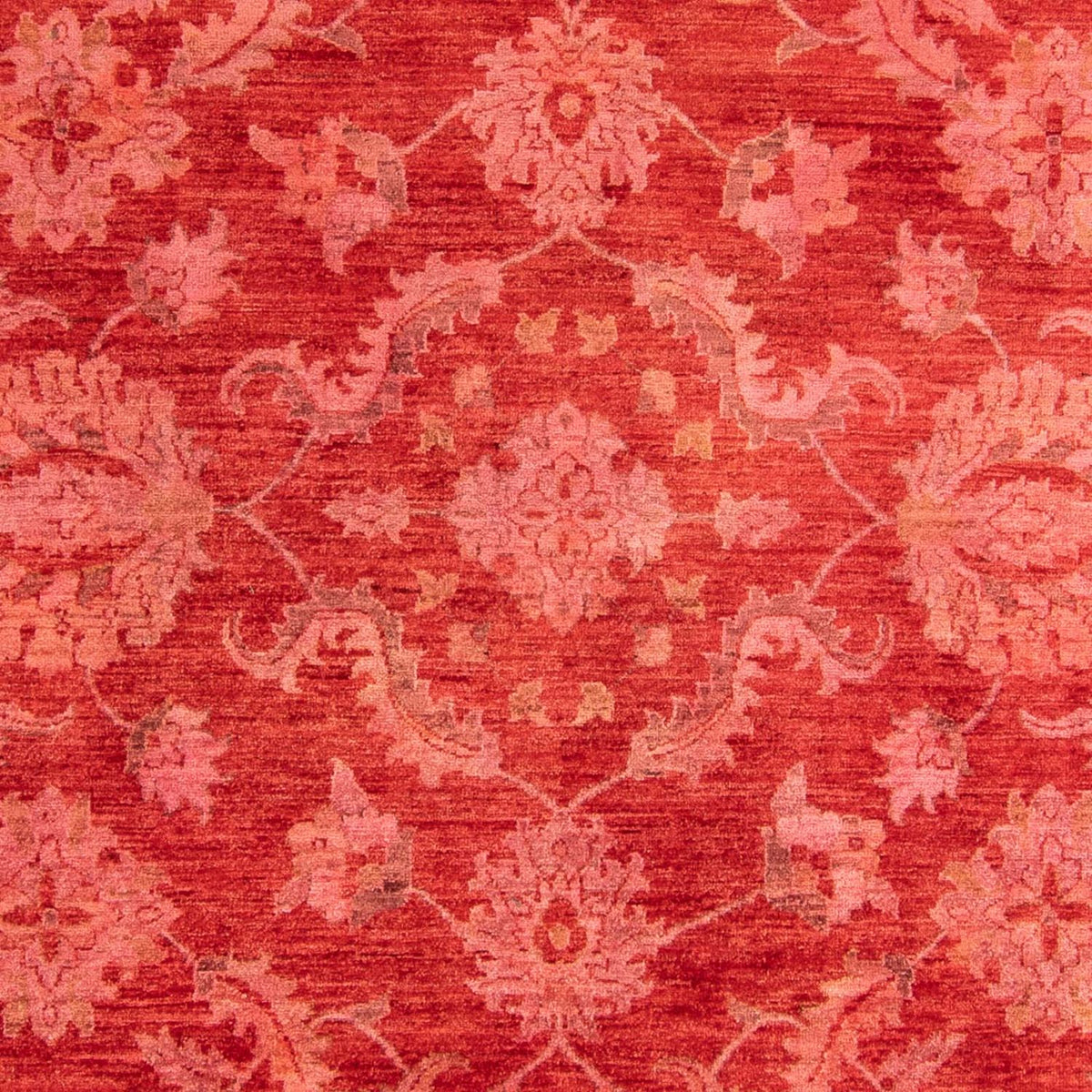 Ziegler Carpet - 350 x 222 cm - lysrød