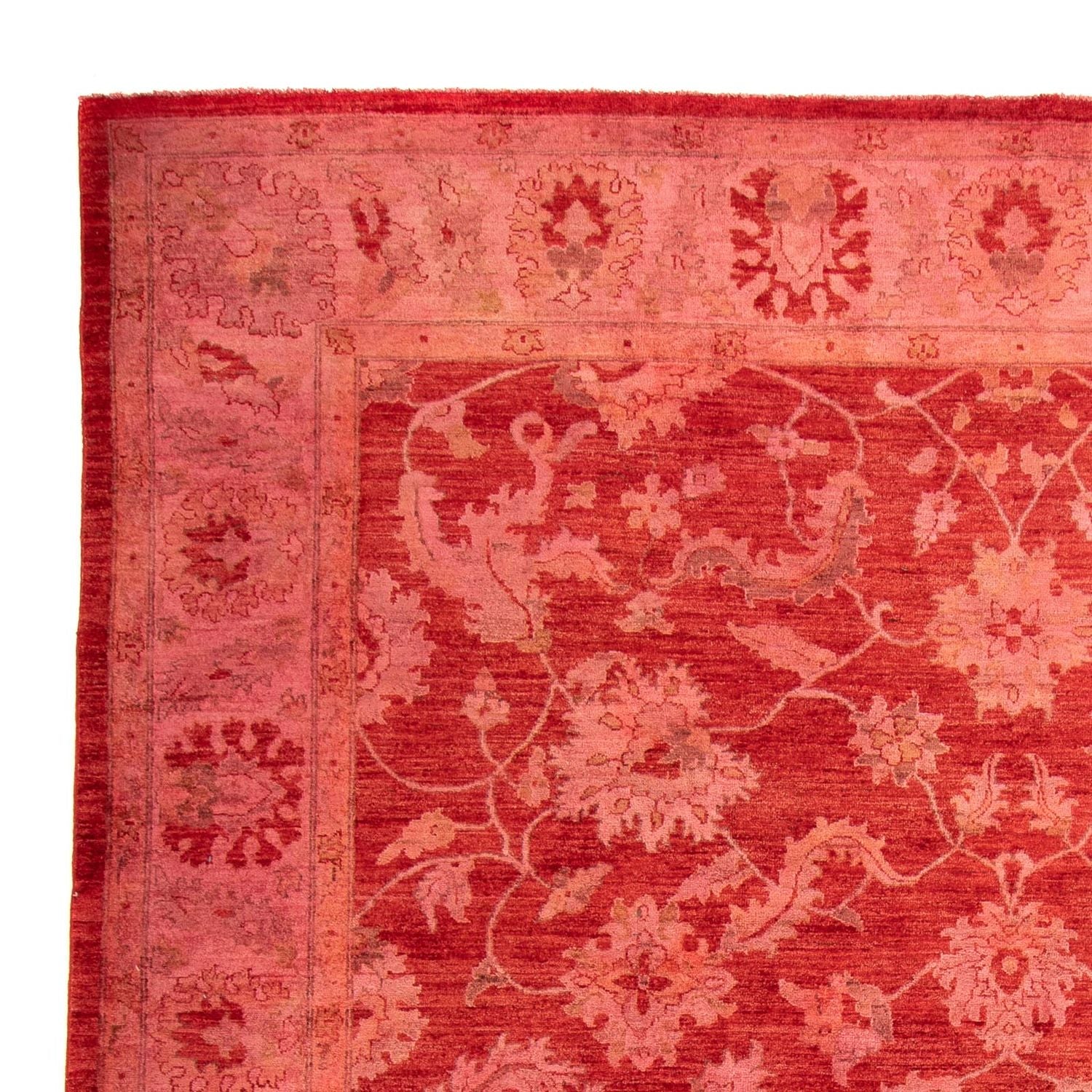 Ziegler Carpet - 350 x 222 cm - lysrød