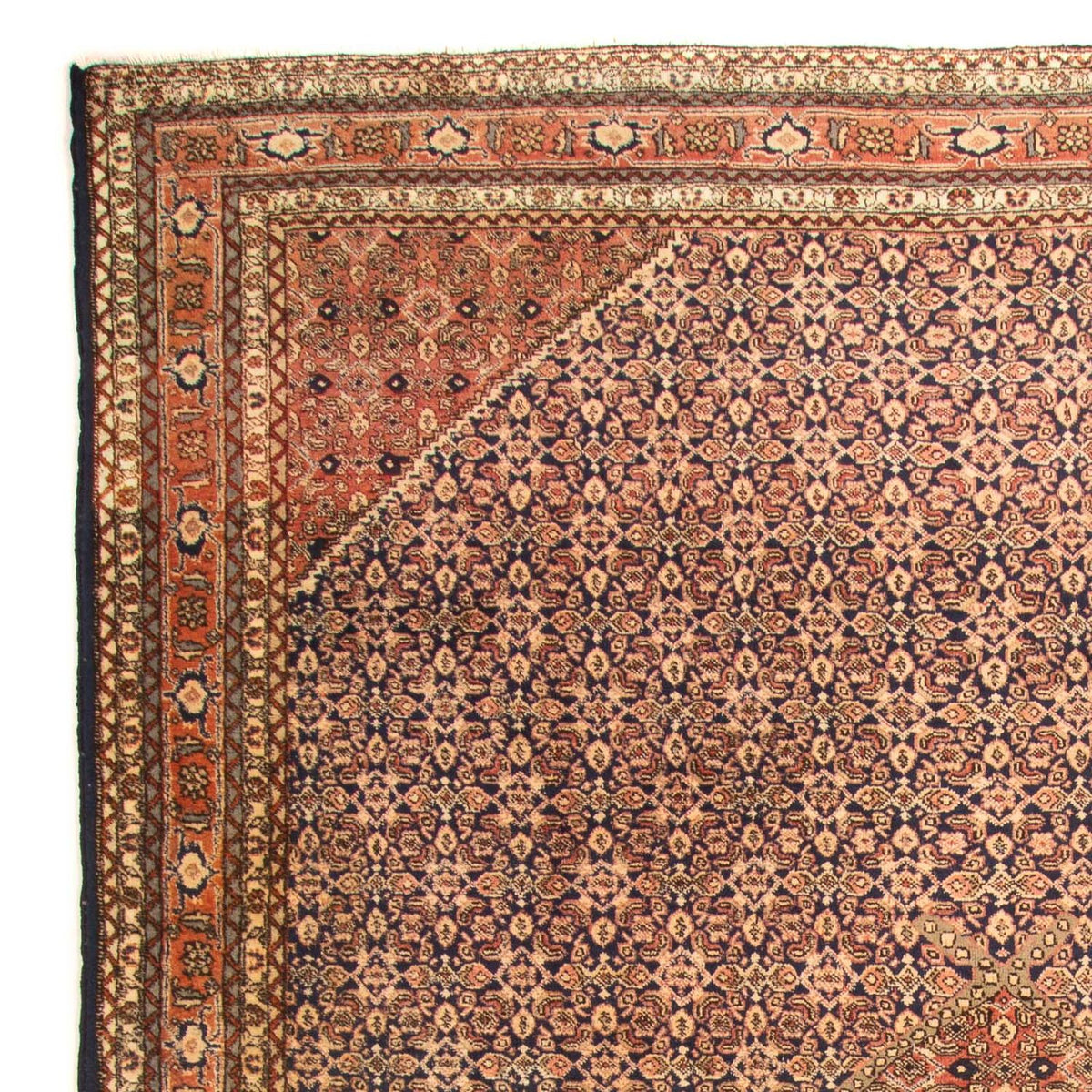 Ardabil Tæppe 220x330cm - Persisk tæppe