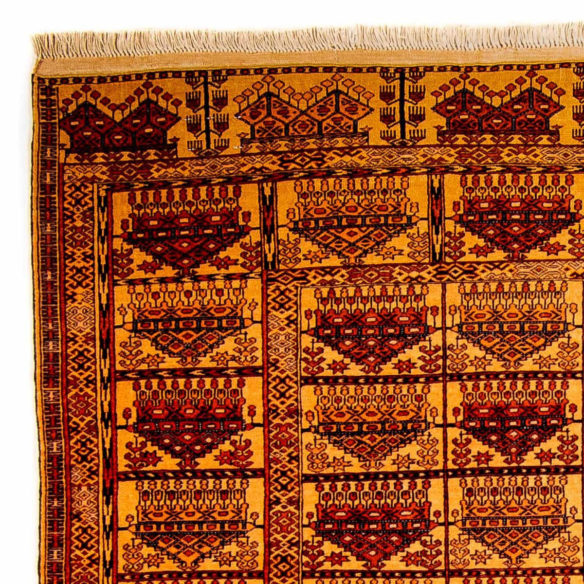 Silketæppe - afghansk silke - 173 x 126 cm - guld
