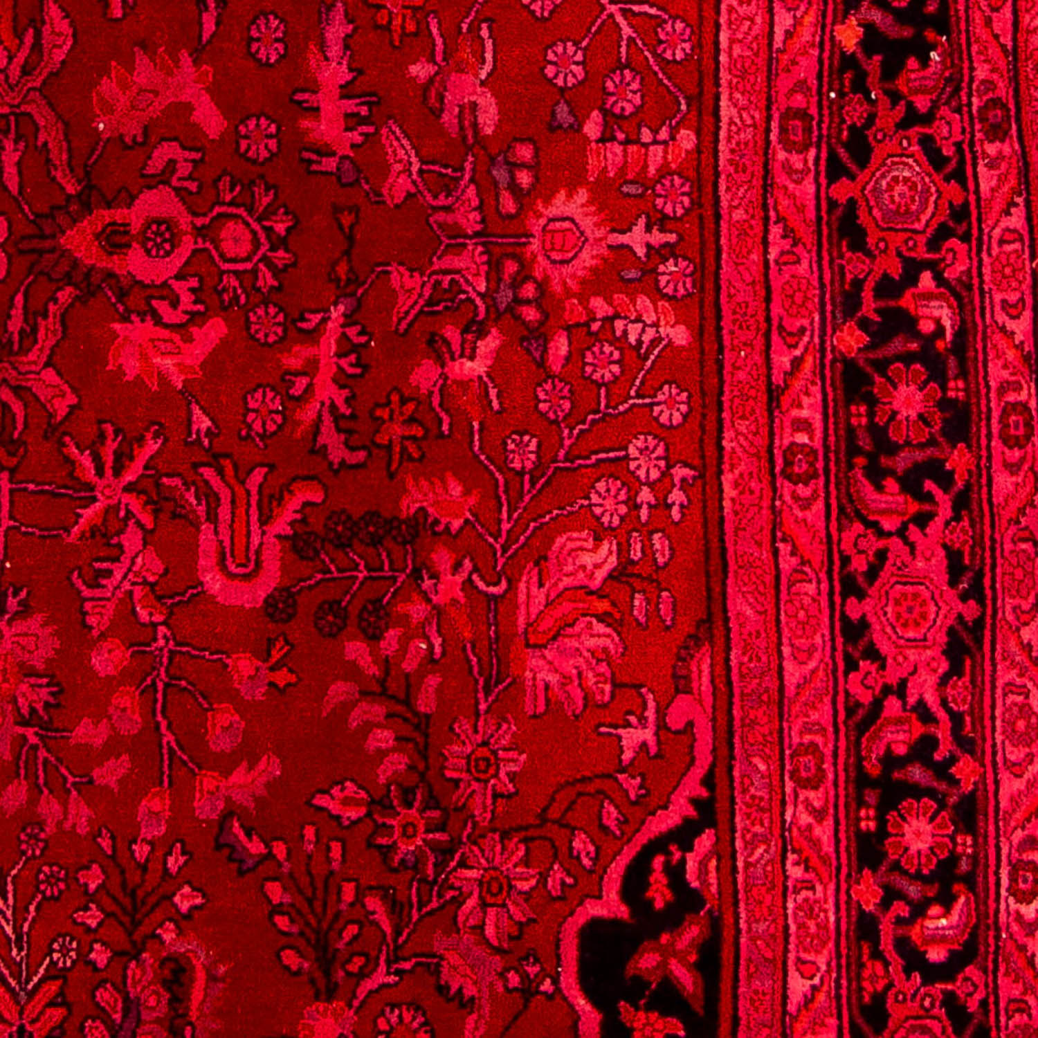 Løber Persisk tæppe - Bijar - Royal - 320 x 83 cm - rød