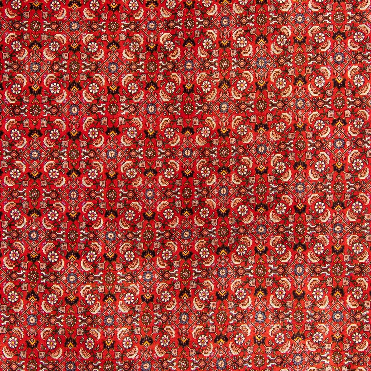 Persisk tæppe - Bijar - 300 x 204 cm - rød