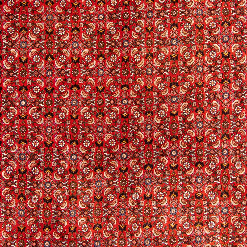 Persisk tæppe - Bijar - 300 x 204 cm - rød