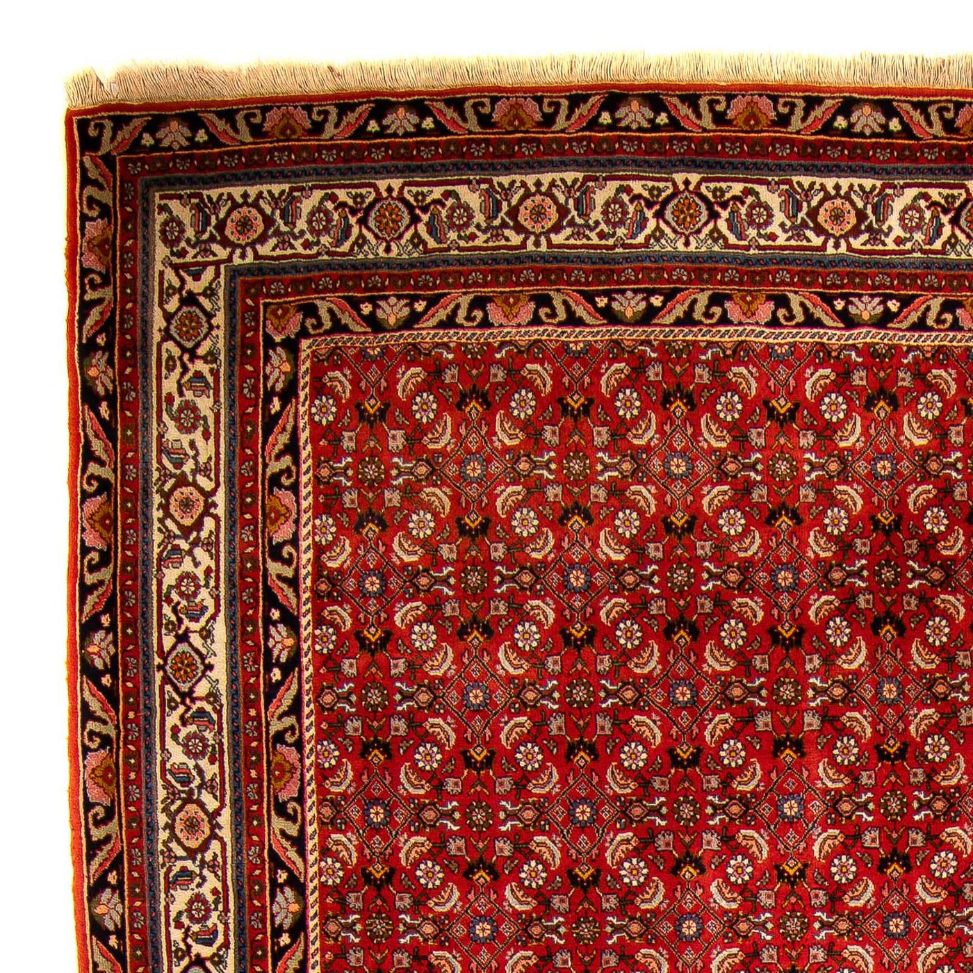 Bidjar Tæppe 300x204cm - Persisk tæppe