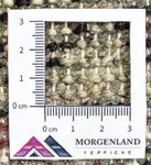 Orientalsk tæppe - 160 x 90 cm - rød